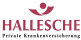 Hallesche